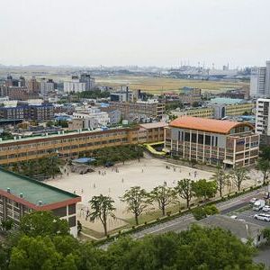 소룡초등학교 생태지도 만들기