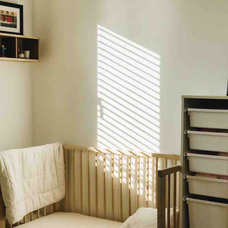 도심 속 들꽃 발견하기 