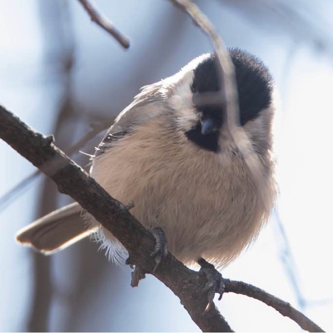 히미그 동네 탐방