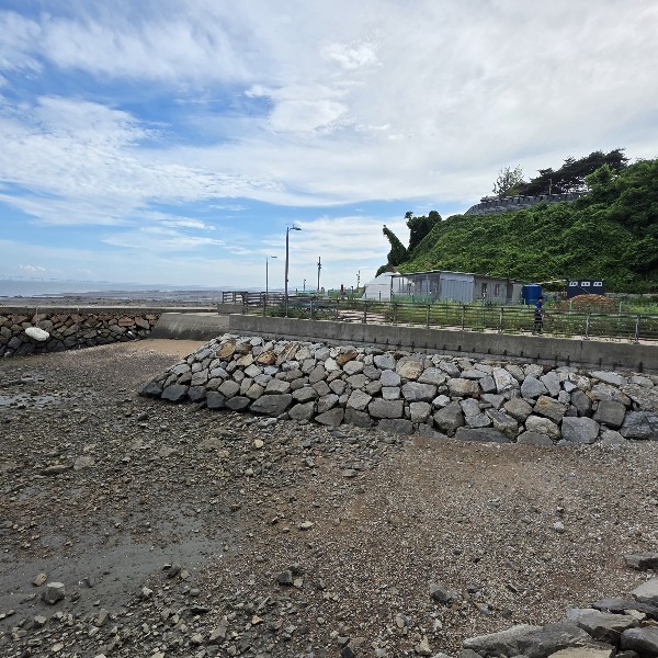 영종진공원(구읍뱃터 포함)생태모니터링