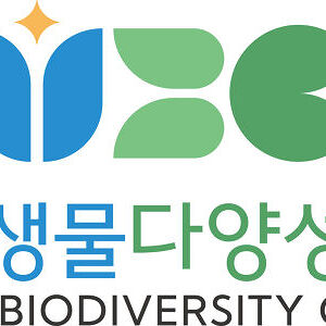 2기 울산 새 통신원