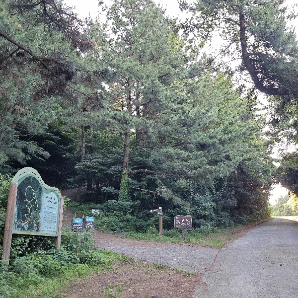 느지리오름 탐구