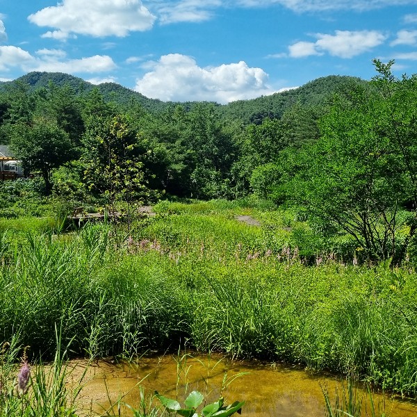 백두대간수목원의 생물다양성