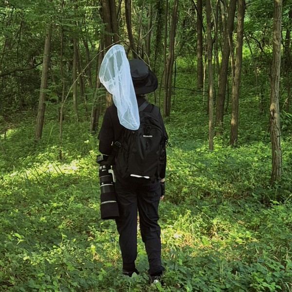 토성산의 생태