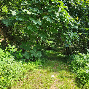 양주덕계/고읍/옥정 생태다양성