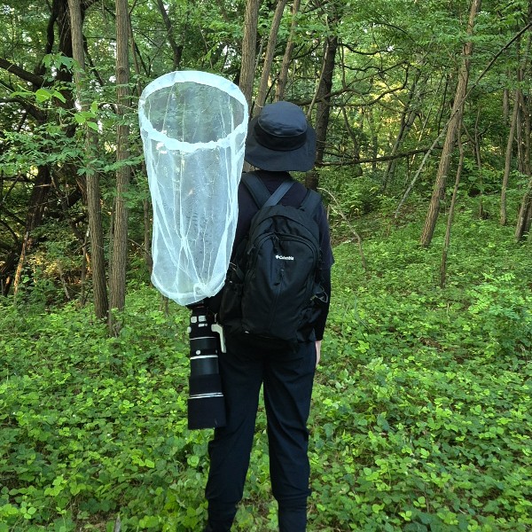 토성산의 생태