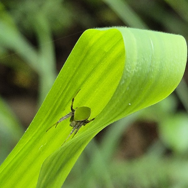 별별숲(9월이야기)