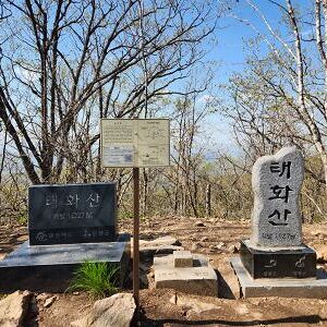 석회암 지대 : 영월 태화산(고씨굴) 지의류 관찰