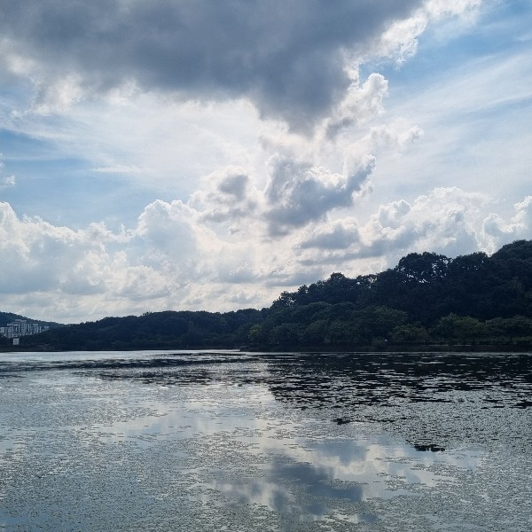 성남 율동공원의 생물다양성