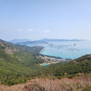전남 보길도 지의류 관찰