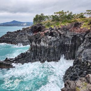 제주도 해안지대(0~50m) 지의류 관찰