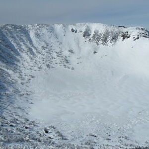 제주도 한라산(600m 이상) 지의류 관찰