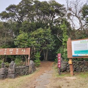 제주도 난대식물대~2차 초지대에 분포하는 지의류 관찰