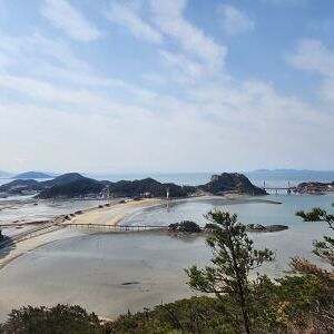 전북 고군산군도(선유도/신시도 등) 지의류 관찰