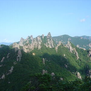 설악산 국립공원 지의류 관찰