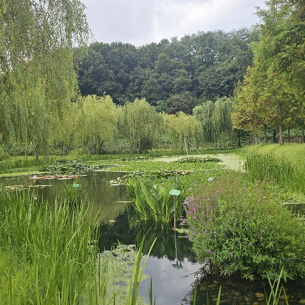 거창 창포원 생물종