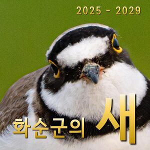 화순군의 새(2025~2029)