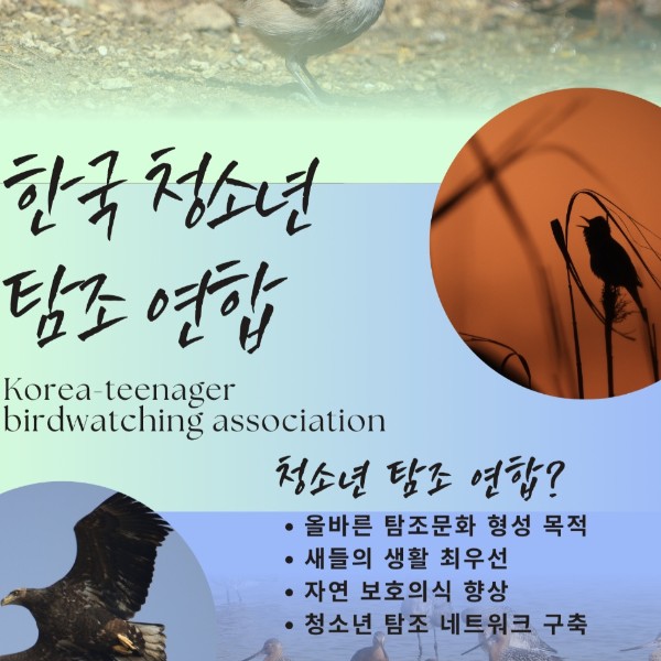 청소년탐조연합