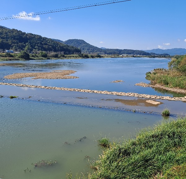탐진강 강진만 득량만 생태 모니터링