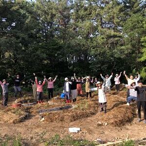 2025 꿀벌살리텃밭 바이오블리츠