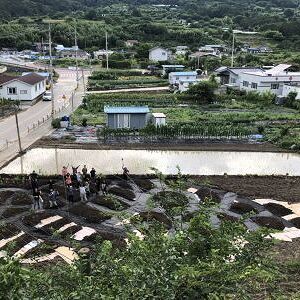 2025 화제 포도송이텃밭 바이오블리츠