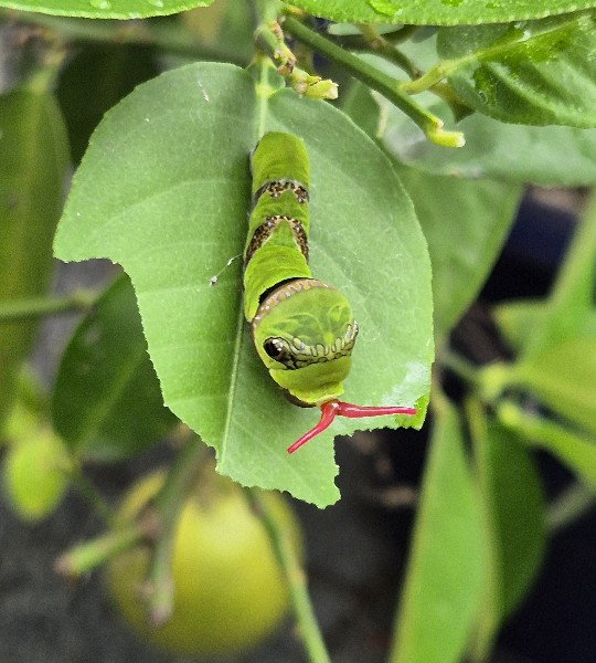별별숲 11월이야기