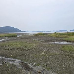 지구이음- 생태 모니터링