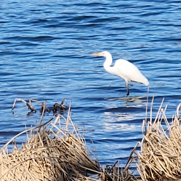 26년 암사생태공원