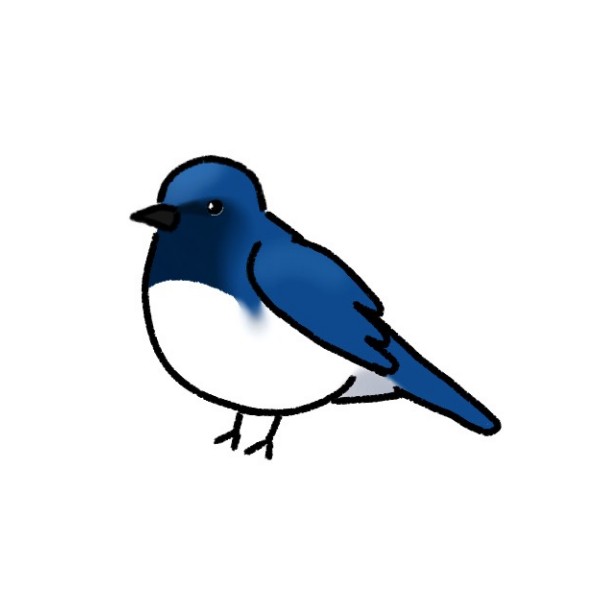 충북대학교 생태탐사동아리 바이탈 관찰기록(2026-1학기)