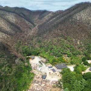 고운사 사찰림 자연복원 시민과학자 프로젝트