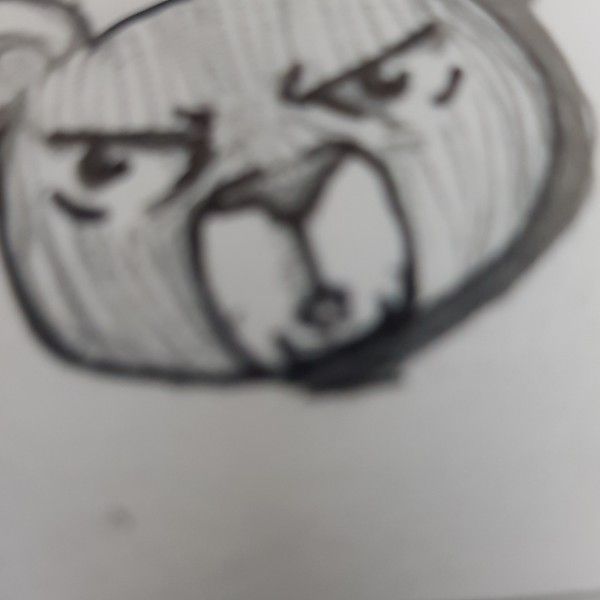 갈까마귀