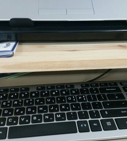 검은이마직박구리