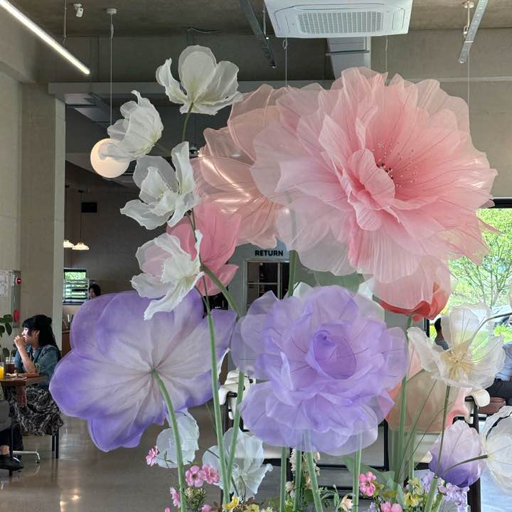 얀주