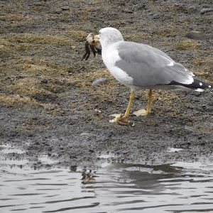 미션 개설 메일 확인