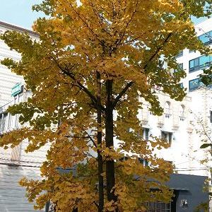 ㄹㅇㄴㅁㅇㄴㄻㄴㅇㄹ