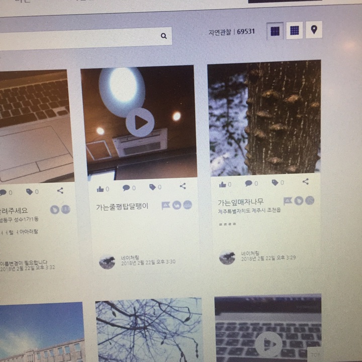 기후변화생물지표 양서·파충류 모니터링 (K-BON 2019~)