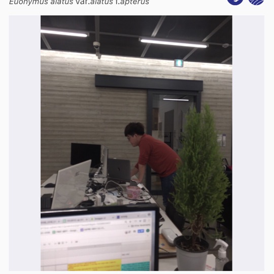 고고고고고고 고고고고고고고고고고 고고고고고고 고고 고고거고 소고고 고고 고고거고 소