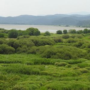 2018 우포늪 생물다양성 대탐사