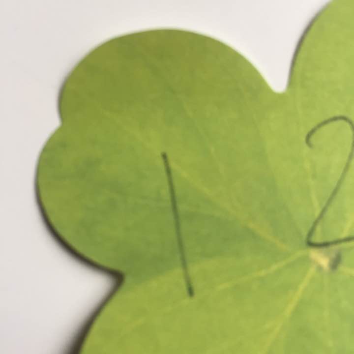 검색필터 아이폰