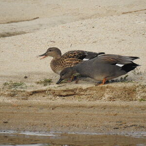 보류 게시물 모음