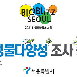 test_1006_하하나나하하나나 나나하하 나나하하 나나나 하나나하 '1231'