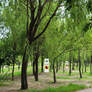 특정값 UI 확인용