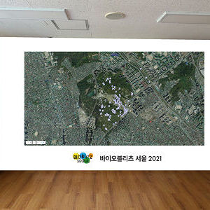 특정값 UI 확인2