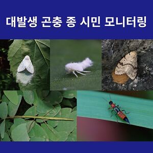 대발생 곤충 종 시민 모니터링